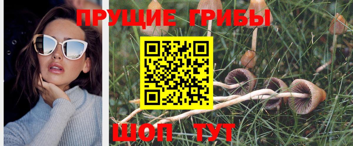 Галлюциногенные грибы мухоморы Королёв