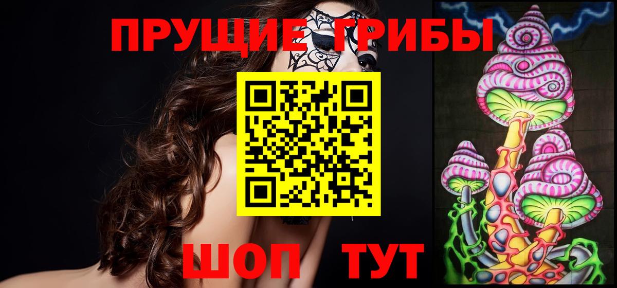 Галлюциногенные грибы Psilocybe  где купить наркоту  Королёв  Вход с VPN 